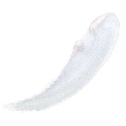 Lip Balm Pod Mon Reve 02 Coconut - Image 3